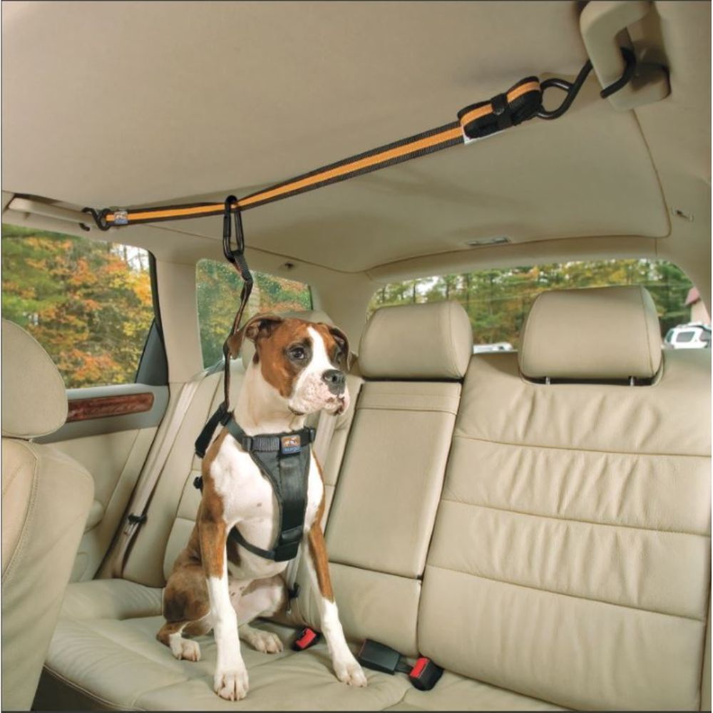 Kurgo Auto Zip Line | Adjustable Dog Car Safety Tether image