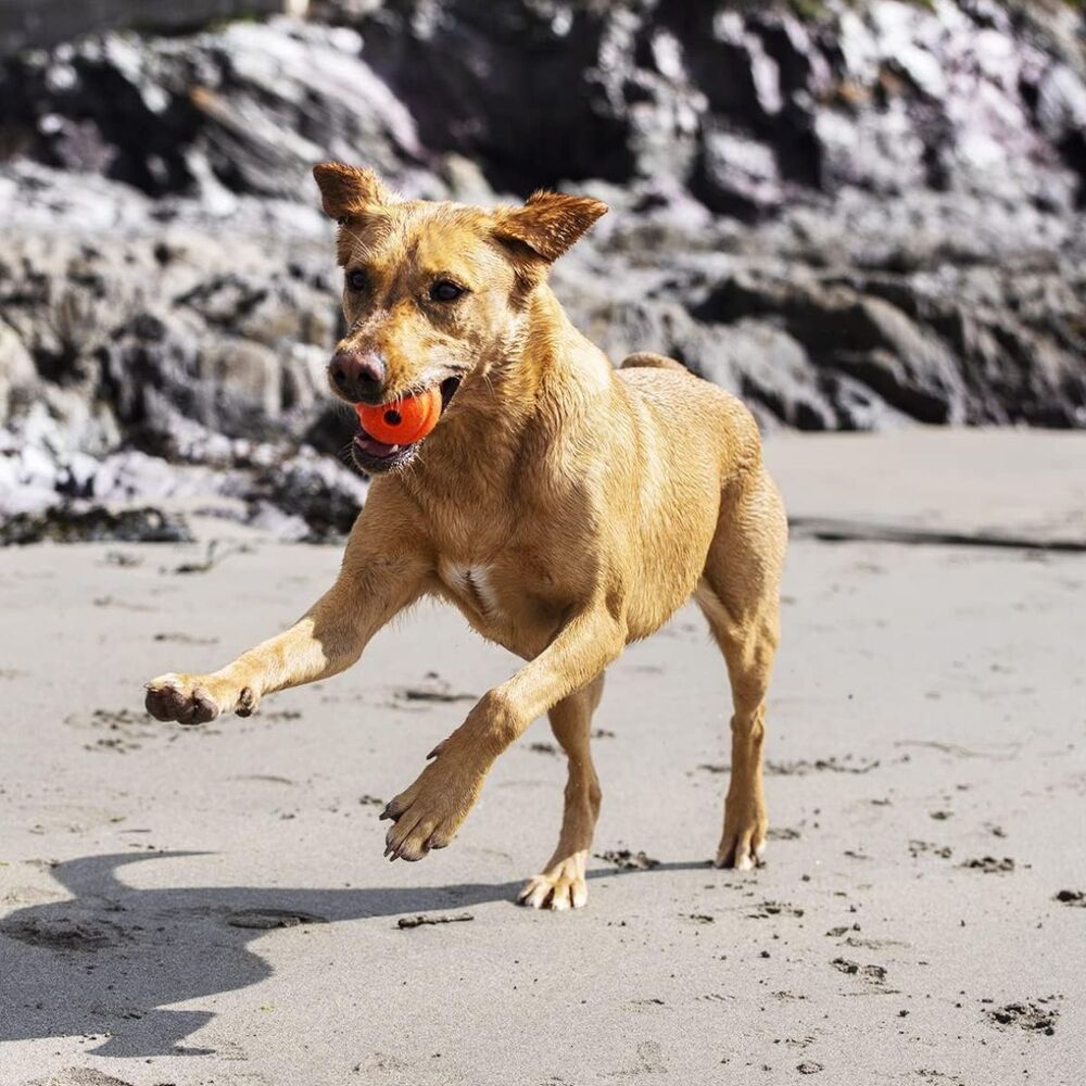 Chuckit! Sonic Fetch Dog Ball (Small, 2 Pack) image