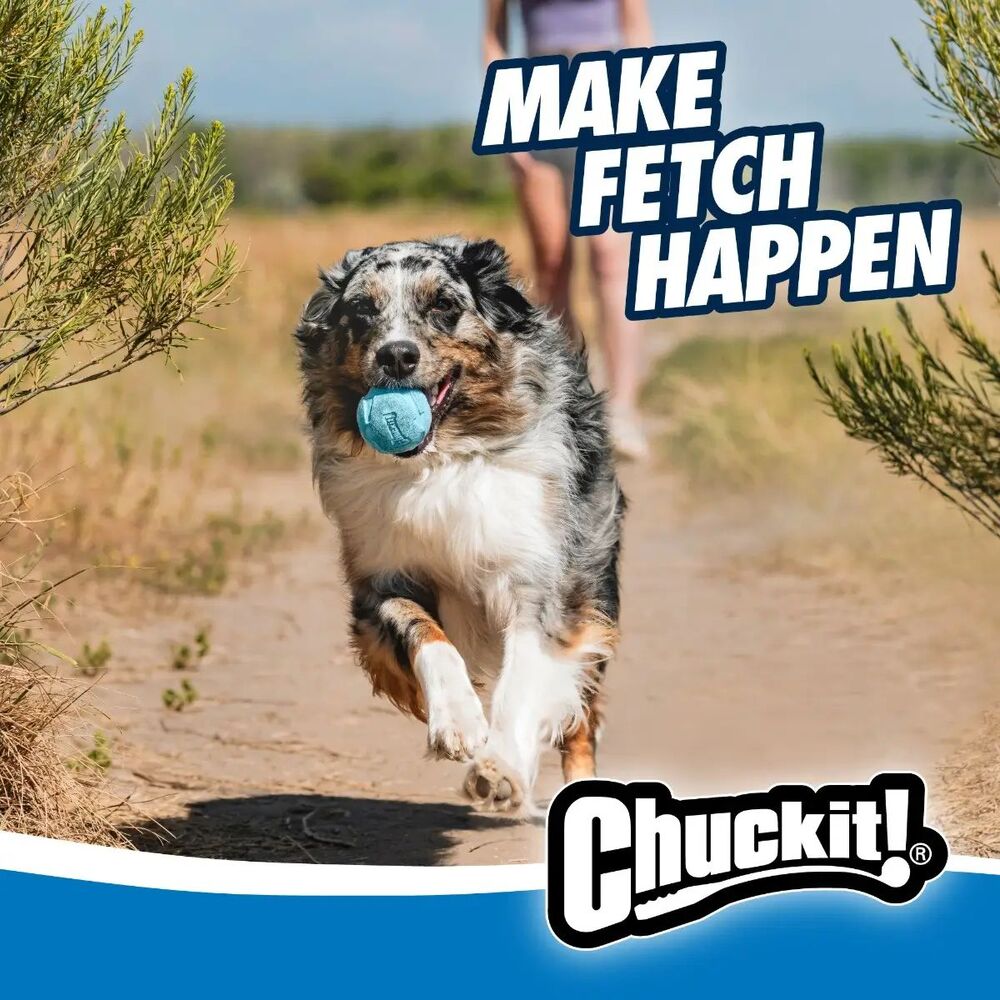 Chuckit! Rebounce Fetch Dog Ball (Medium, 2 Pack) image