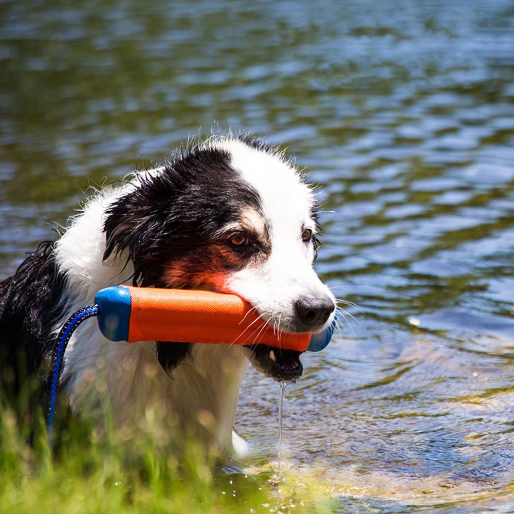 Chuckit! Amphibious Bumper Medium image