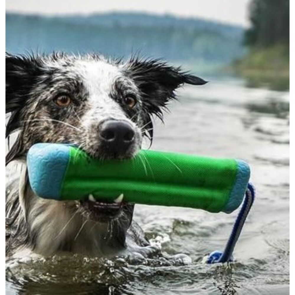Chuckit! Amphibious Bumper Medium (Green) image