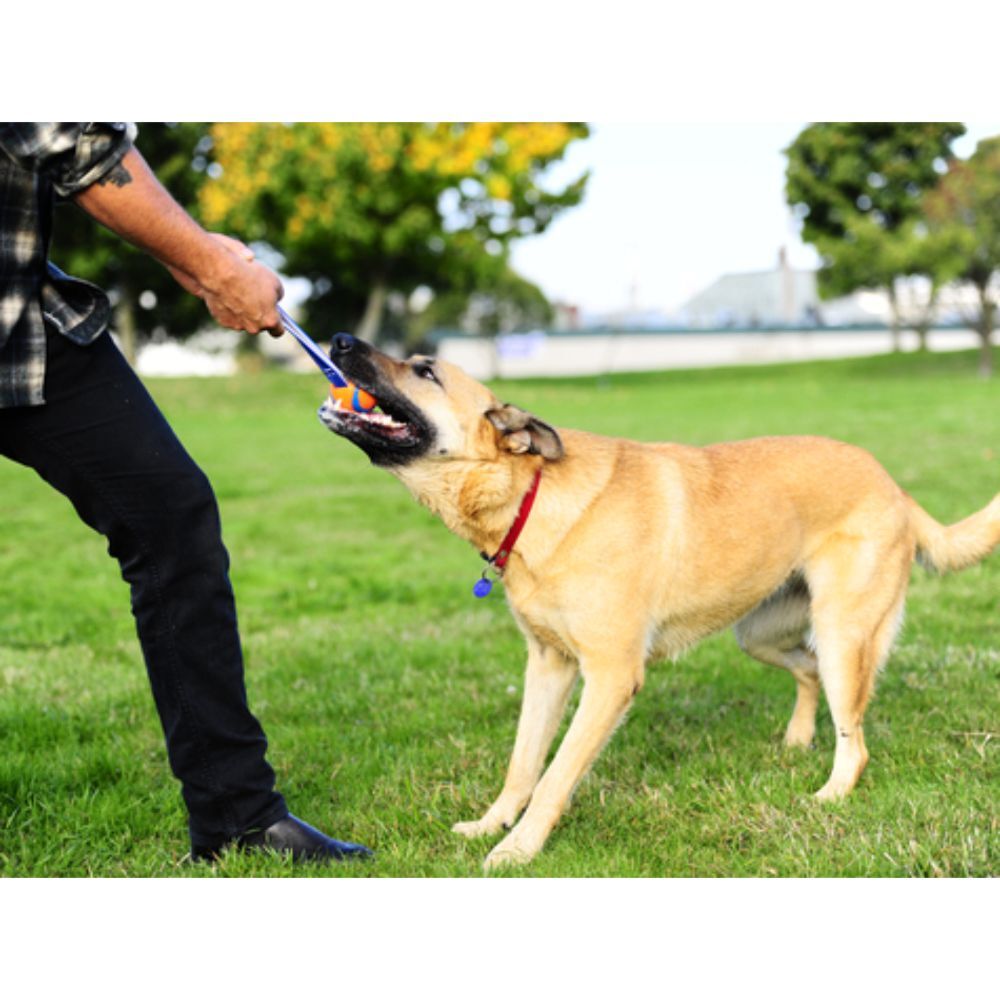 Chuckit! Ultra Tug Large Dog Ball image