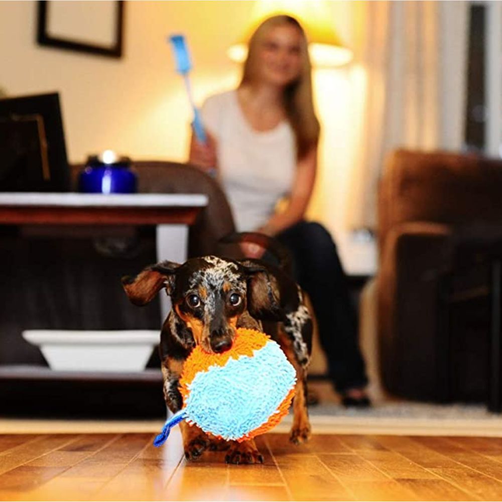 Chuckit! Indoor Shaker Ball Dog Toy image