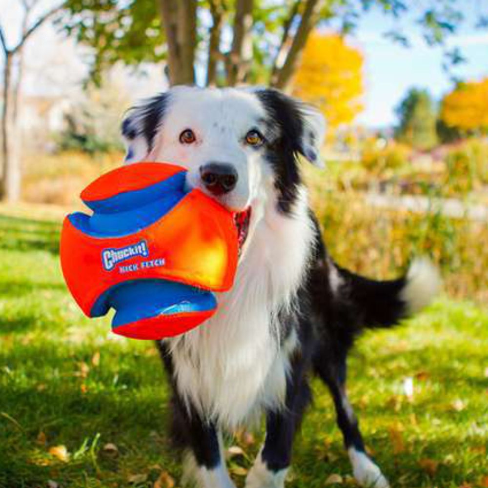 Chuckit! Kick Fetch Small Dog Ball image