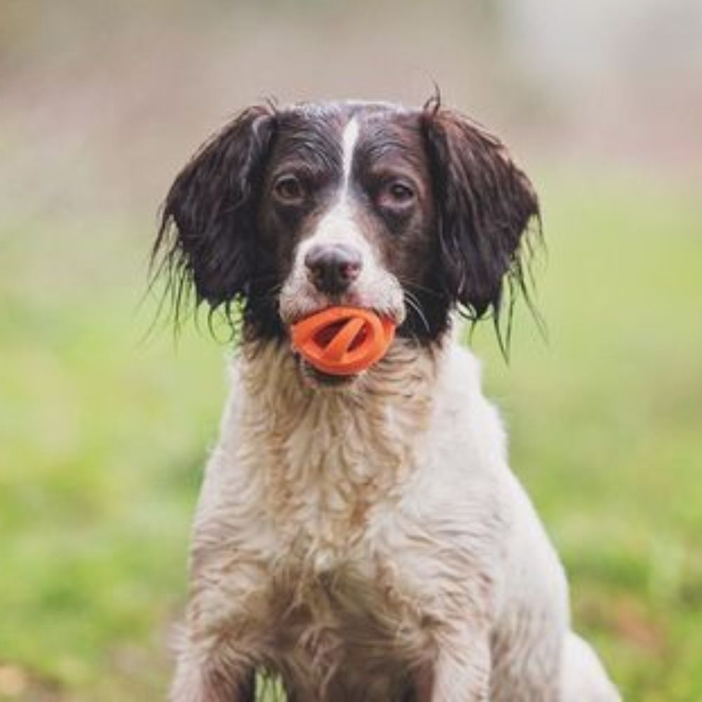 Chuckit! Breathe Right Air Fetch Dog Ball (Small, 2 Pack) image