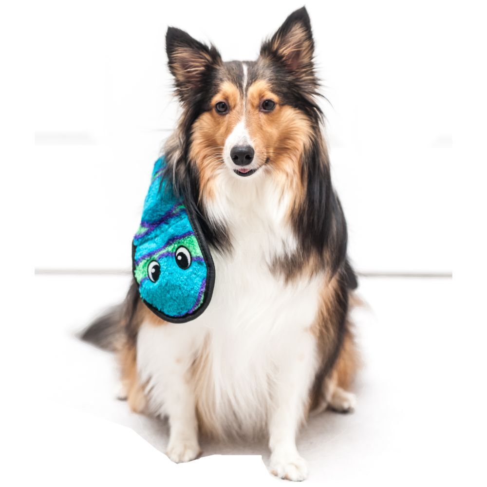 Outward Hound Invincible Snake 6 Squeak Blue and Green image