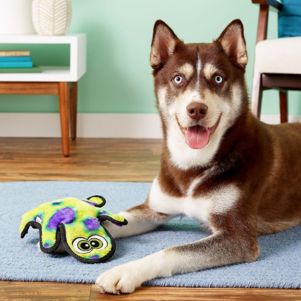 Outward Hound Invincible Gecko 2 Squeak Green and Purple image
