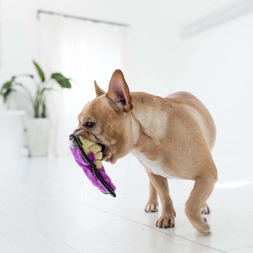 Outward Hound Invincible Tough Seamz Cobra image