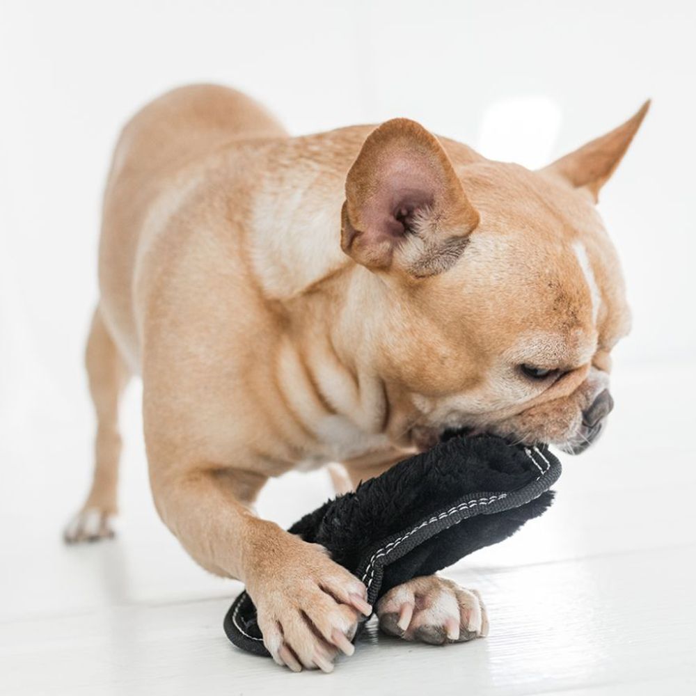 Outward Hound Invincible Tough Seamz Elephant image