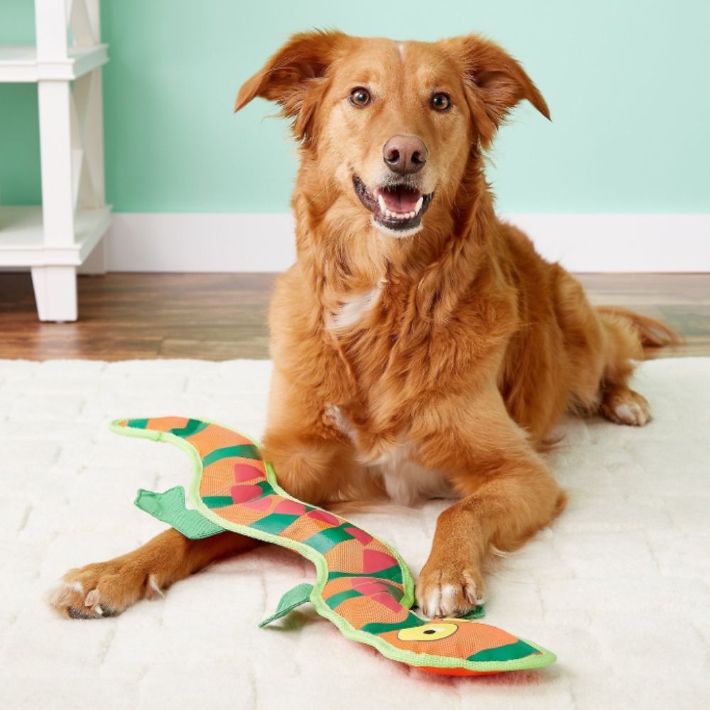 Outward Hound Fire Biterz Exotic Lizard image