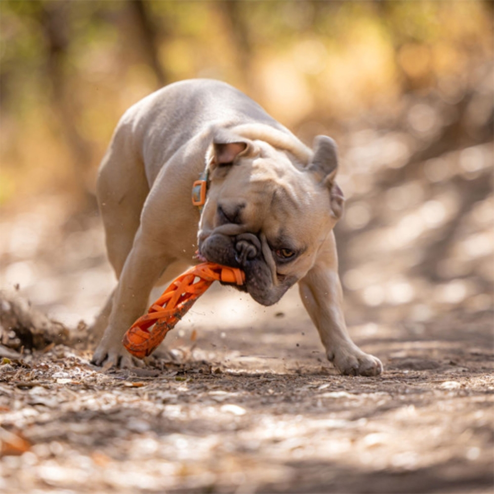 Chuckit! Breathe Right Air Fetch Dog Stick Small image