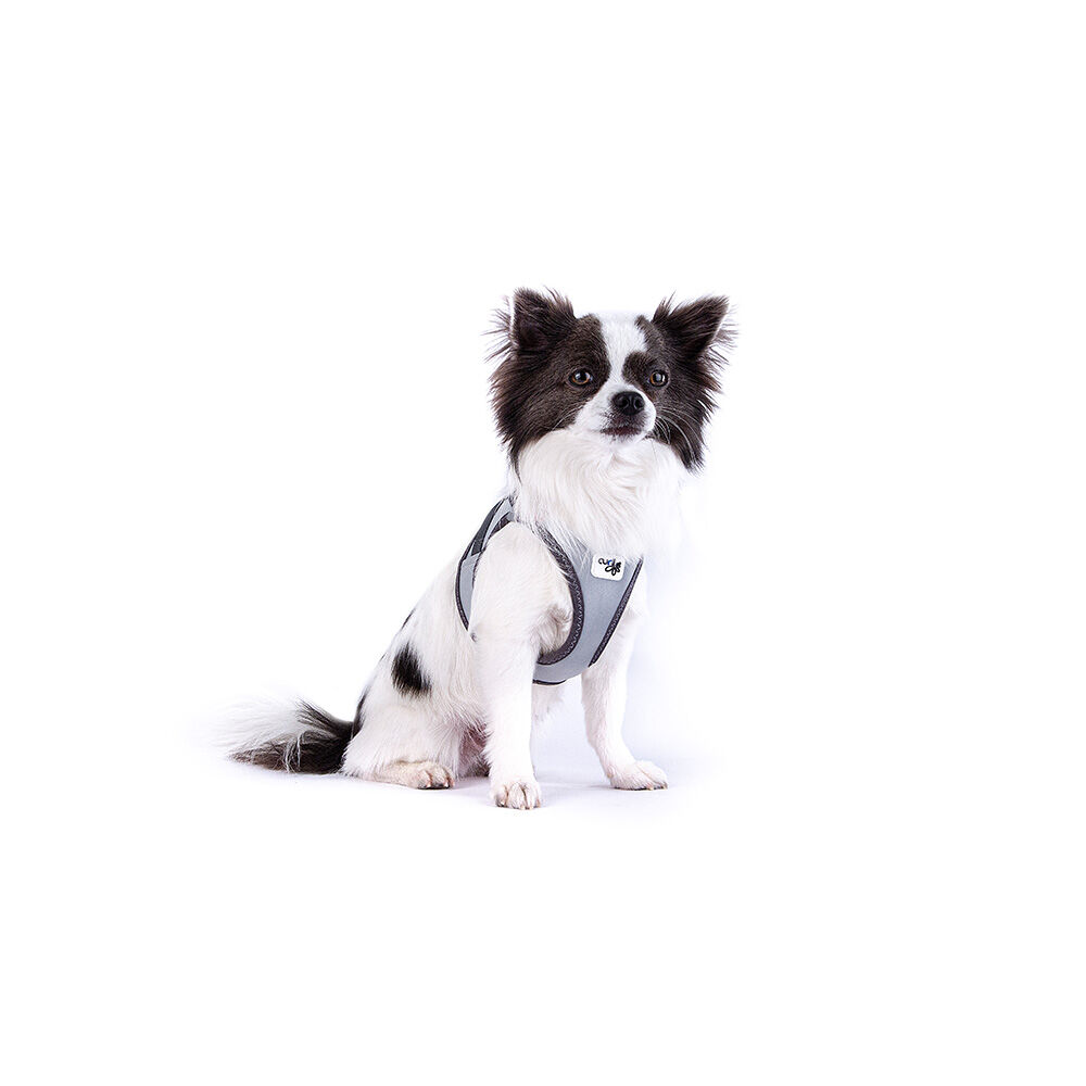 Curli Vest Dog Harness The Glow Reflective (XXXSmall) image