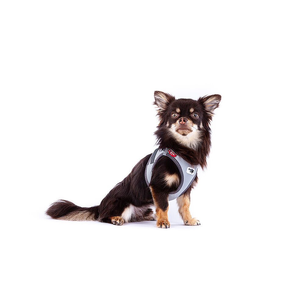 Curli Vest Dog Harness The Glow Reflective (XXSmall) image