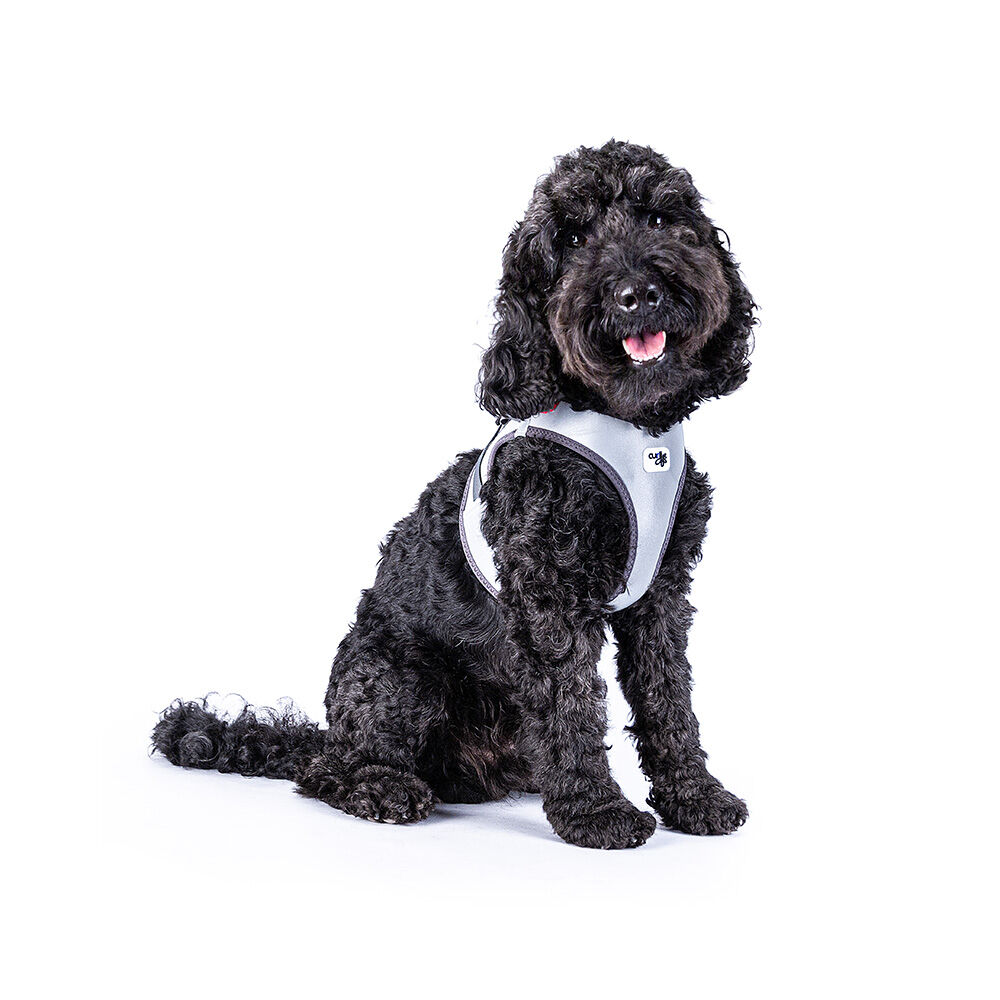 Curli Vest Dog Harness The Glow Reflective (Medium) image