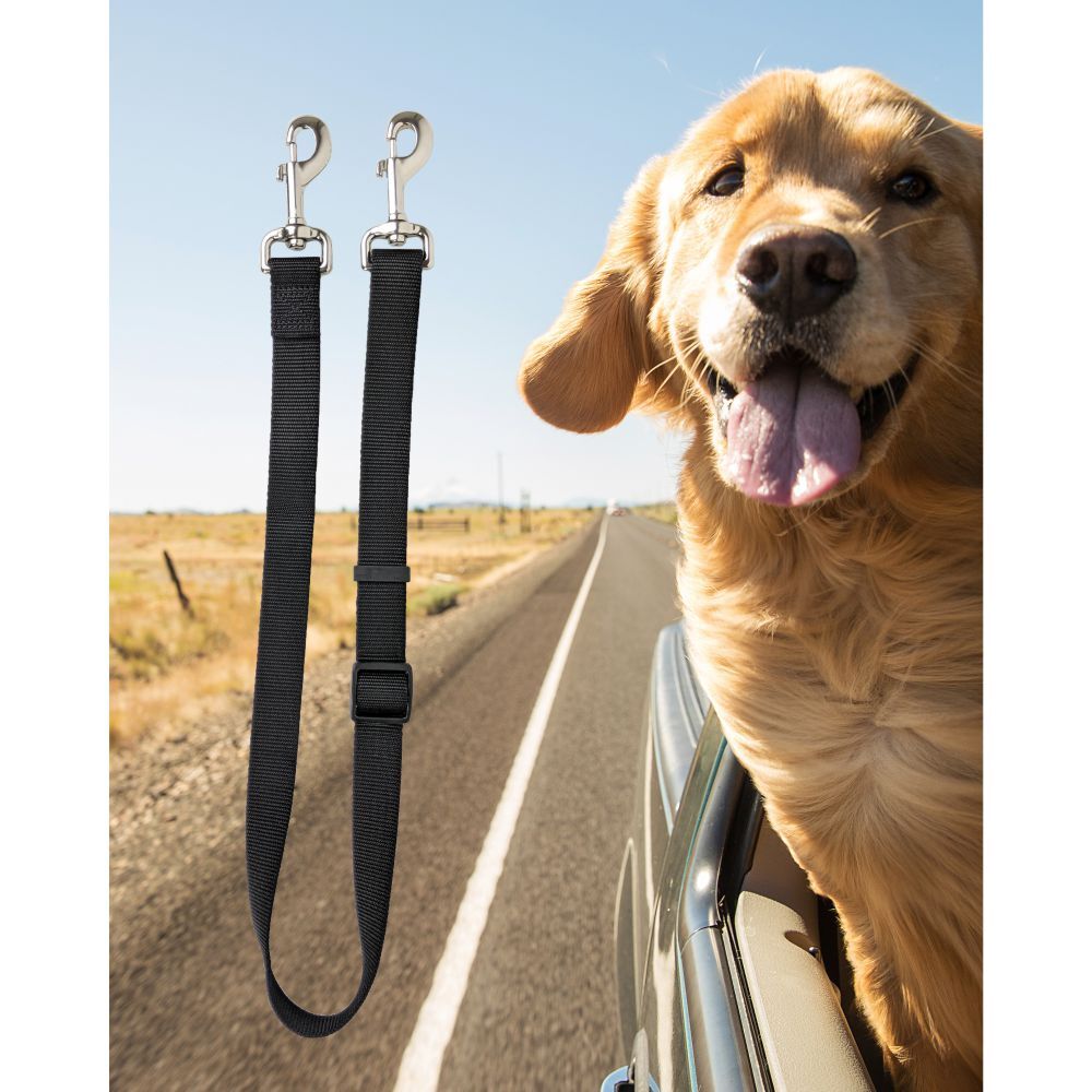 Canine Care Travel Tether image