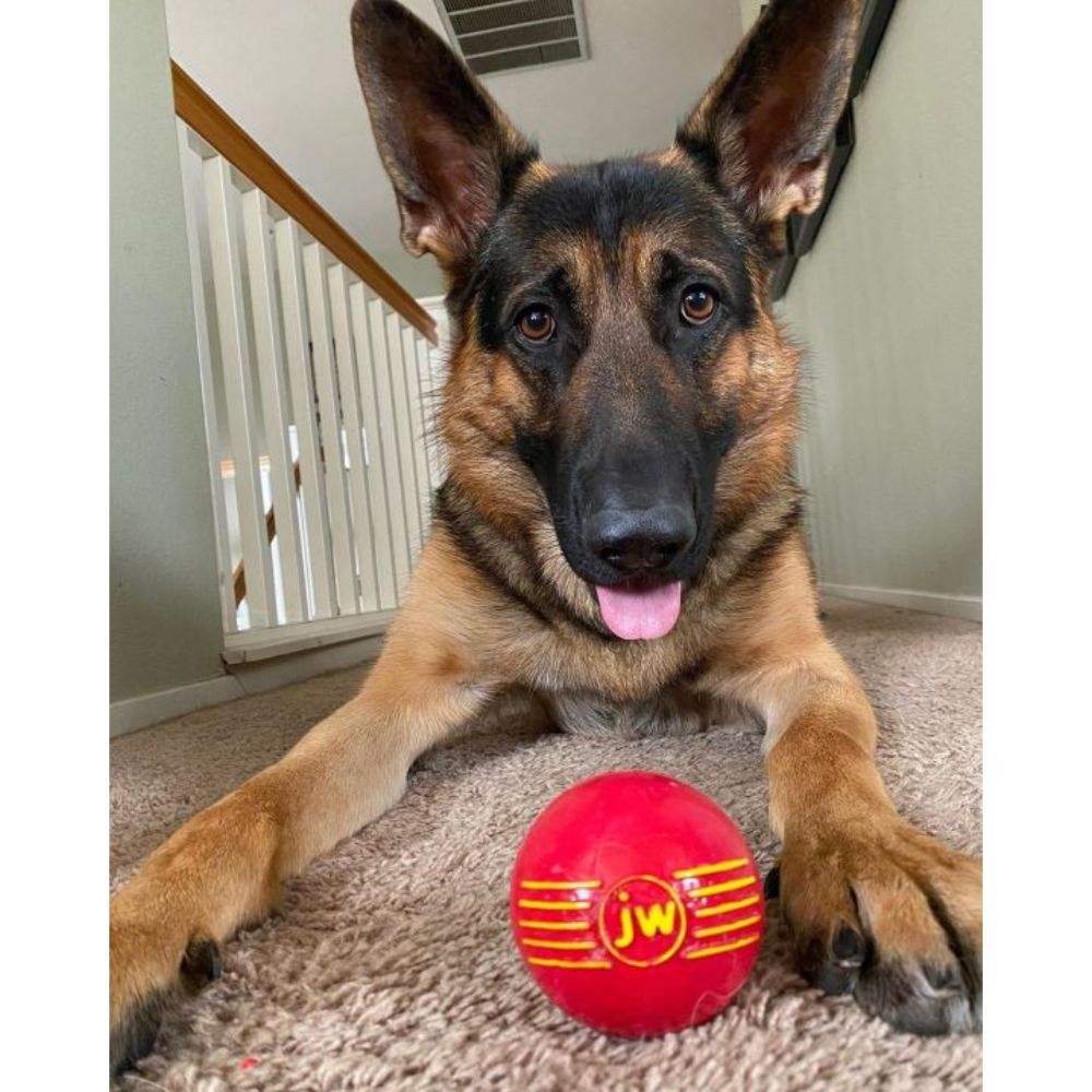 JW PET iSqueak Ball Dog Toy (Green, Small 5cm) image