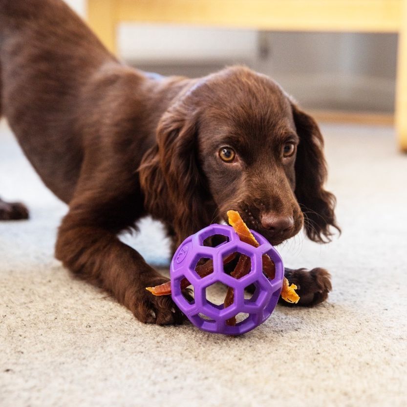 JW PET Hol-ee Roller Dog Toy Jumbo 20cm (Purple) image