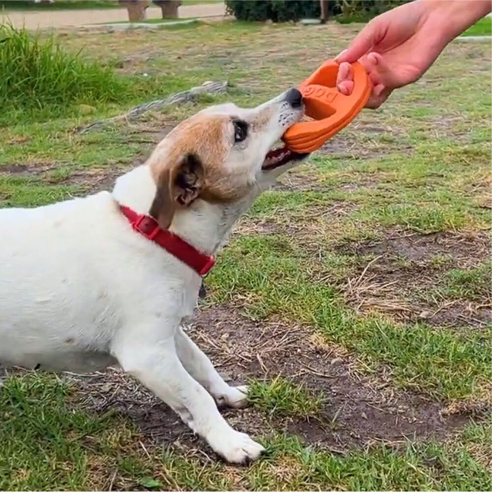 DOGGI Fly and Float Dog Toy (Small/Puppy) image