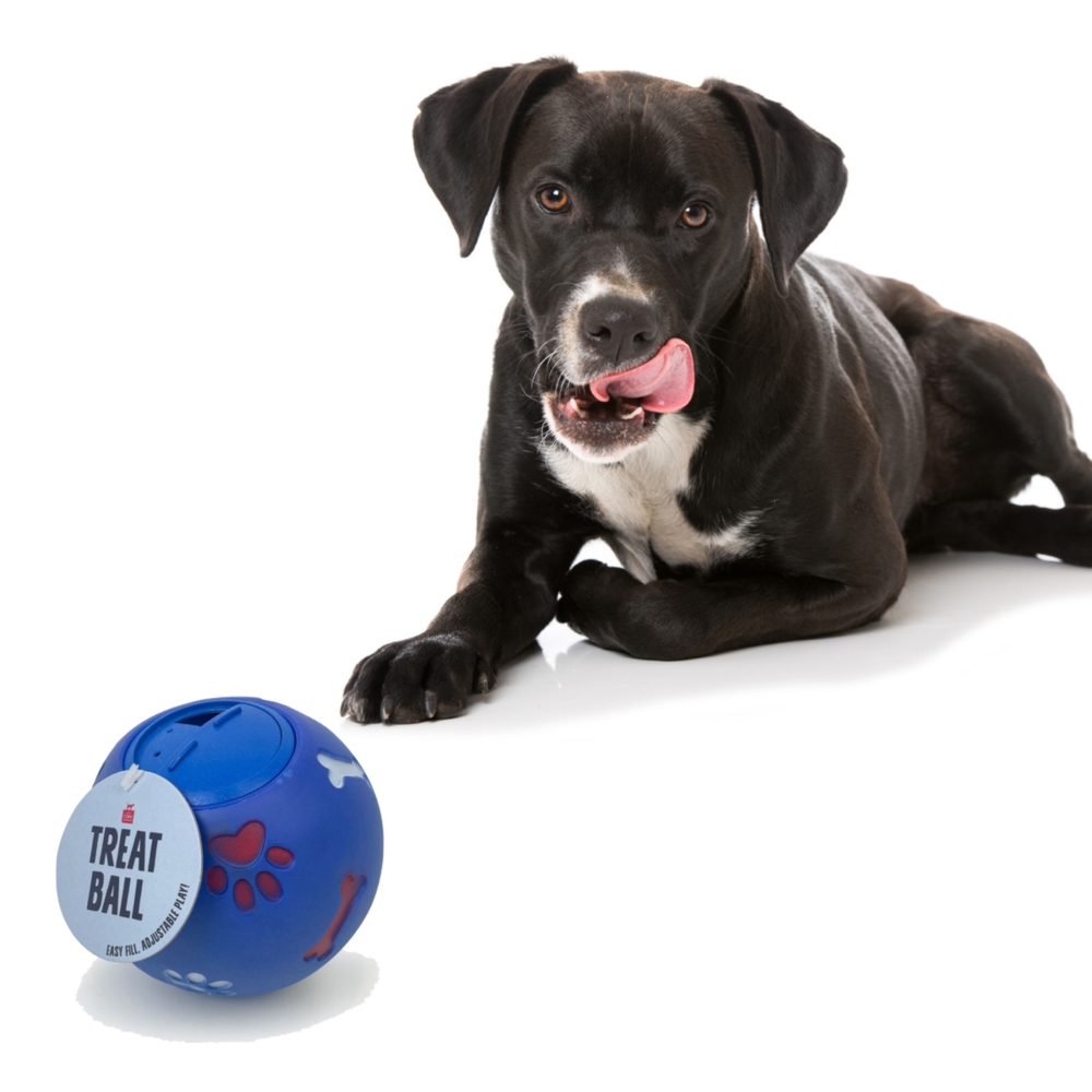 Canine Care Treat Ball Dog Paw & Bone 11cm image