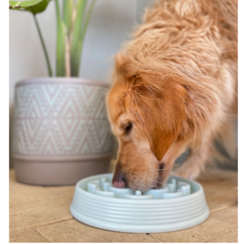 Barkley & Bella Slow Chow Feeder Melamine Mint Medium image