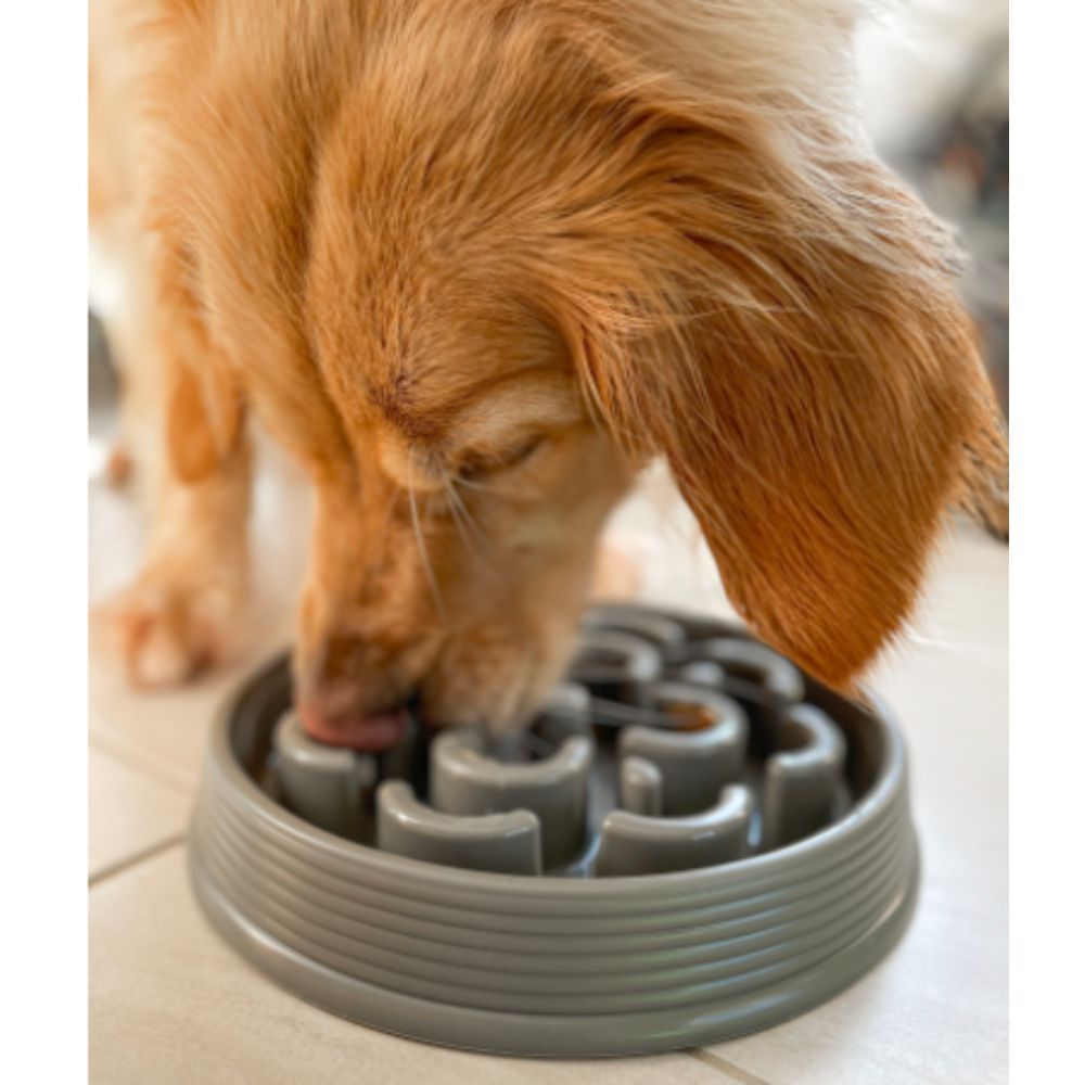 Barkley & Bella Slow Chow Feeder Melamine Grey Medium image