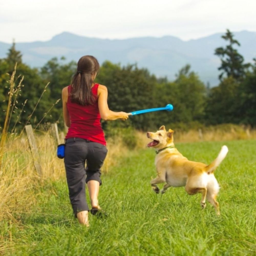 Chuckit! Junior 18M Medium Ball Launcher with BONUS BALL for Dogs 46cm Long image