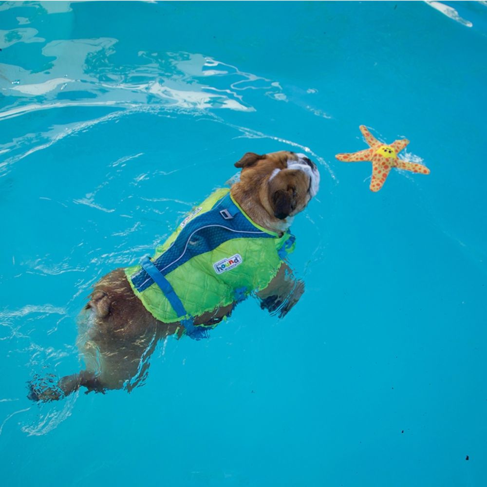 Outward Hound Floatiez Starfish Dog Toy image