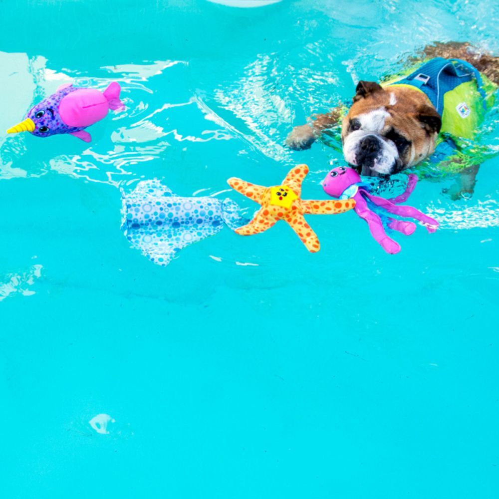 Outward Hound Floatiez Stingray Dog Toy image