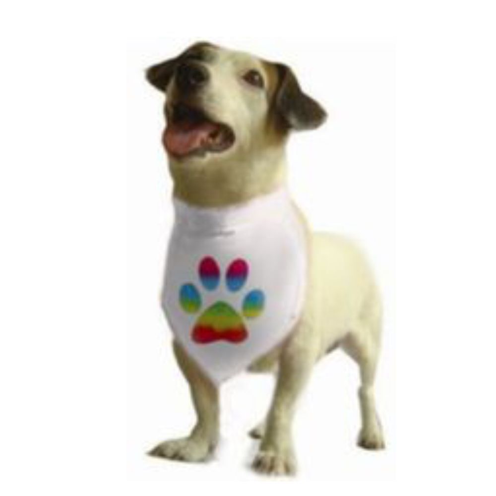 Pride Dog Collar Bandana S, M, L image