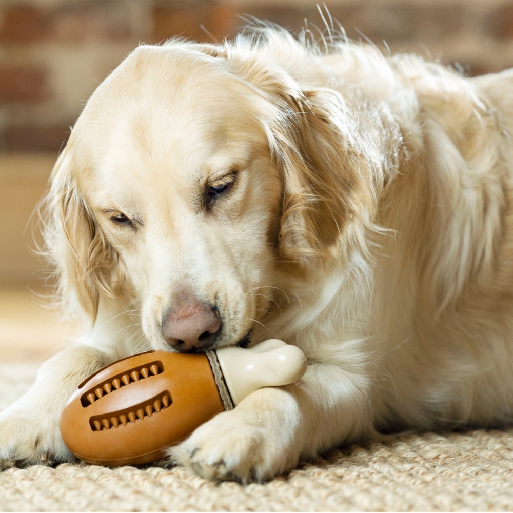 PetSafe Busy Buddy Chompin Chicken Treat Ring Sml/Med Dog Toy image
