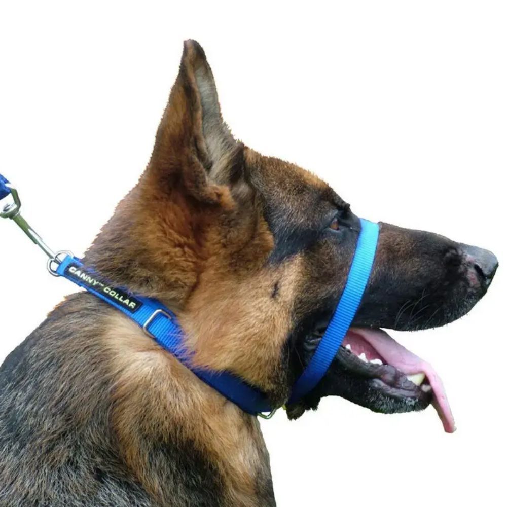 Canny Collar Dog Head Halter - Blue | Train Your Dog Not To Pull image