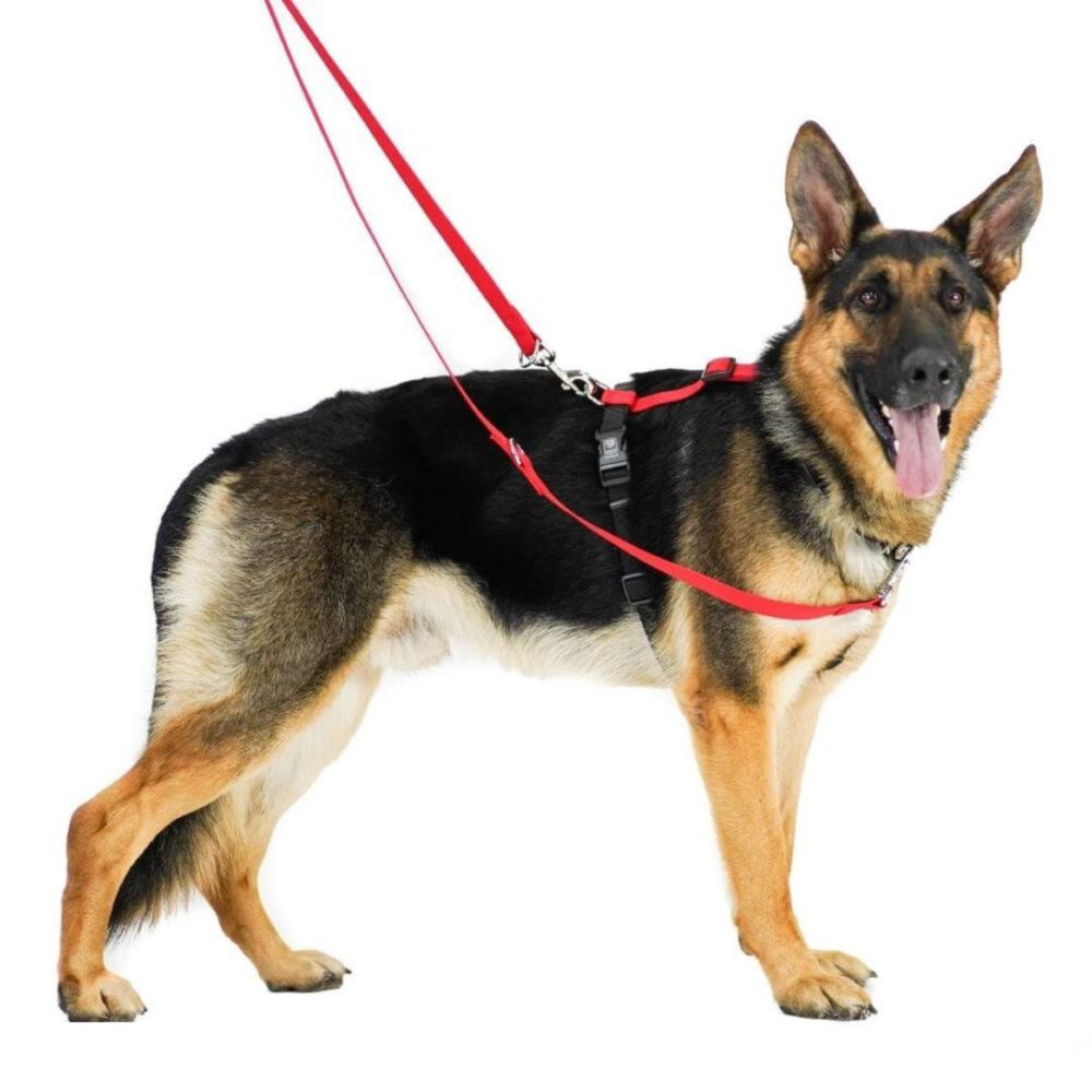 Blue-9 Balance Harness Buckle Neck Red (Medium/Large) image