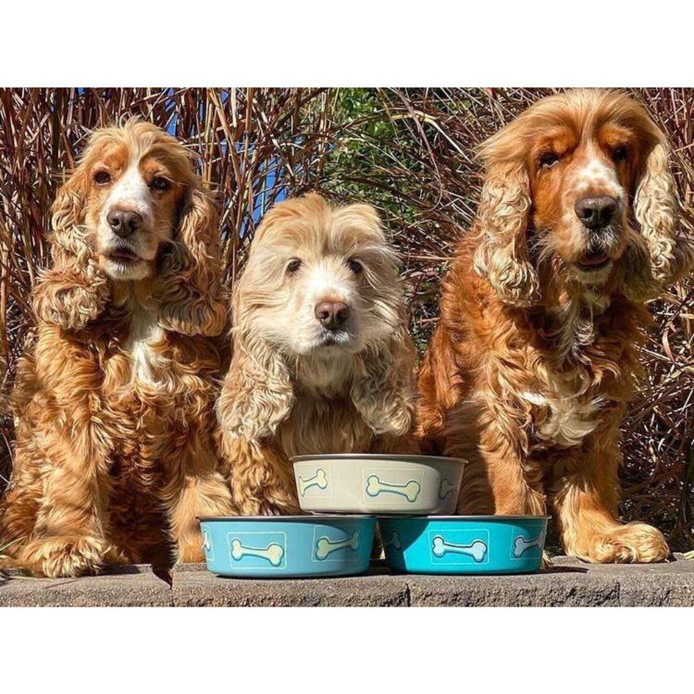 Loving Pets Bella Dog Bowl Coastal Aqua Sea 450ml, 750ml, 1.5L image