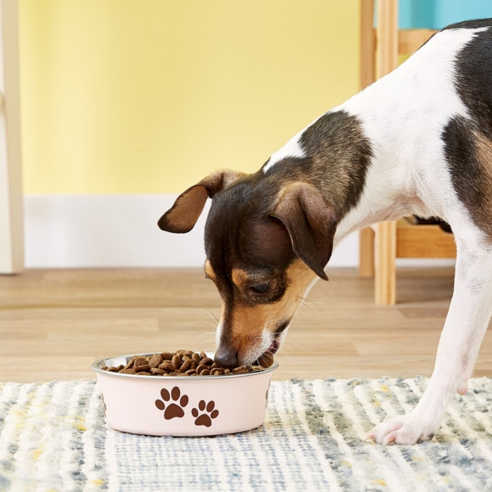 Loving Pets Bella Dog Bowl Paparazzi Pink 450ml, 750ml, 1.5L, 2.0L image