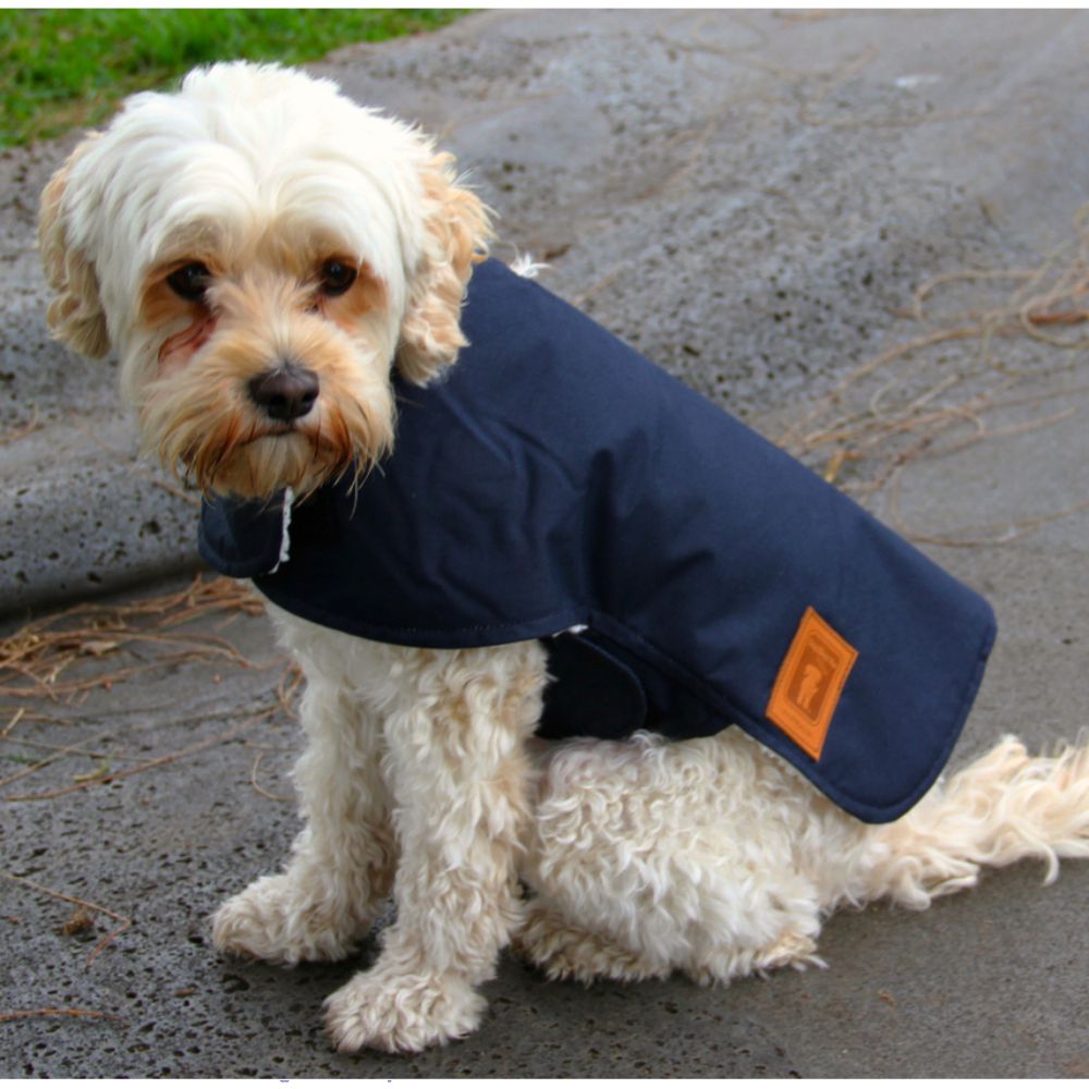 Australian Waterproof Dog Coat Navy (45cm) image