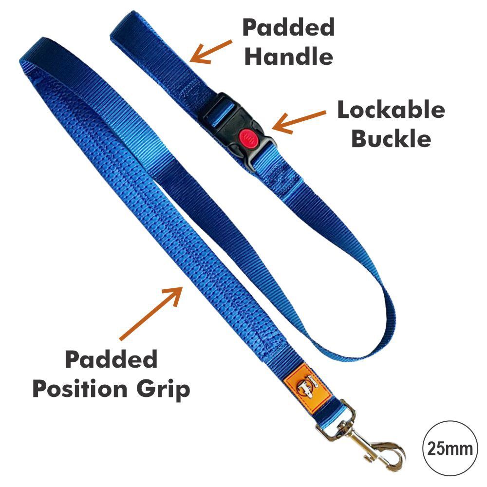 Canny CONNECT Padded Handle Dog Lead 120cm Blue (15mm, 25mm) image