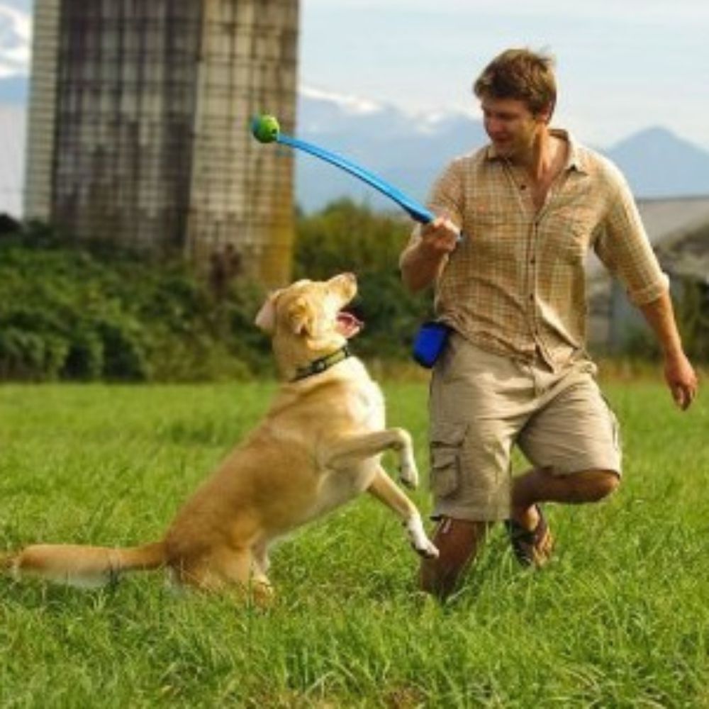 Chuckit! Classic 26M Medium Ball Launcher for Dogs 69cm Long image