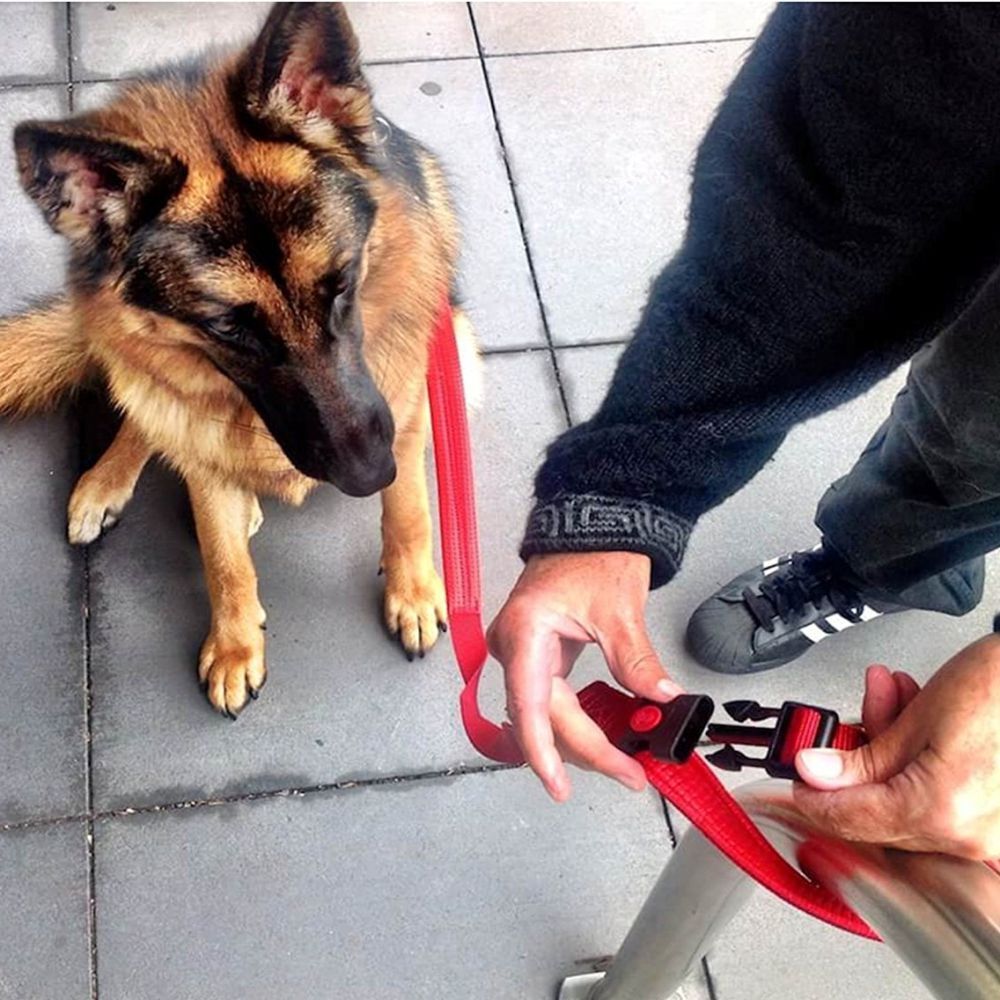 Canny CONNECT Padded Handle Dog Lead 120cm Red (Small/Medium 15mm) image