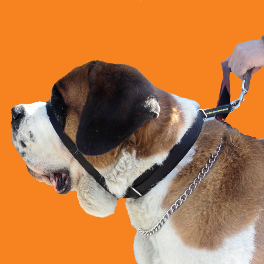 Canny Collar Dog Head Halter - Black Colossus (58cm - 69cm) image