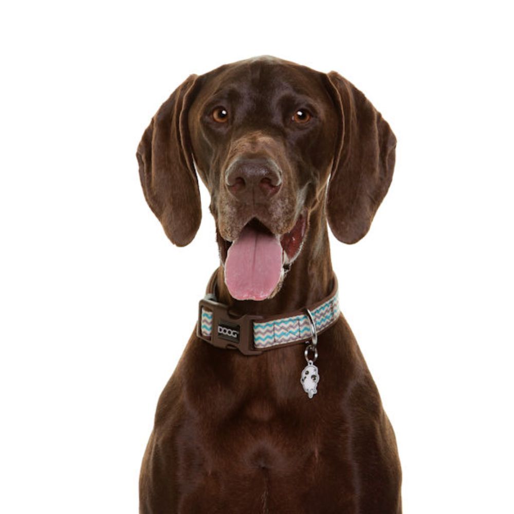 DOOG Neoprene Dog Collar Benji XS, S, M, L image