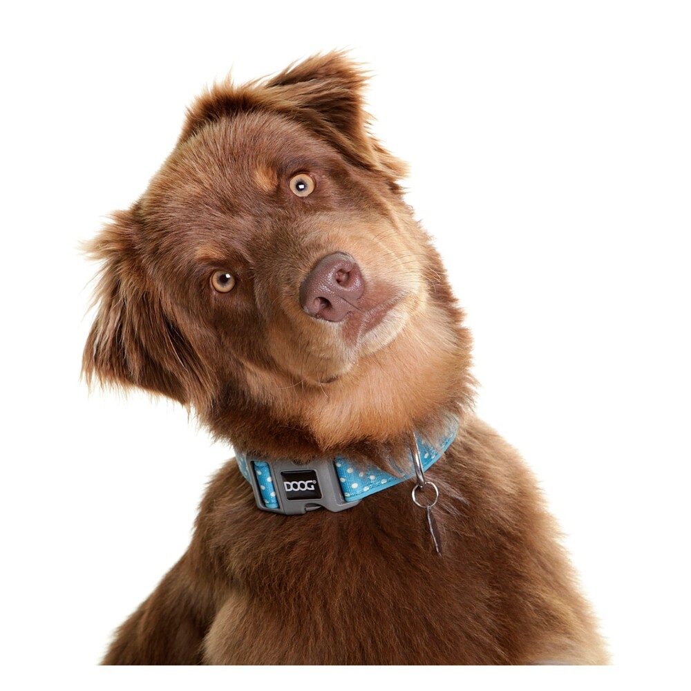 DOOG Neoprene Dog Collar Snoopy (Large) image