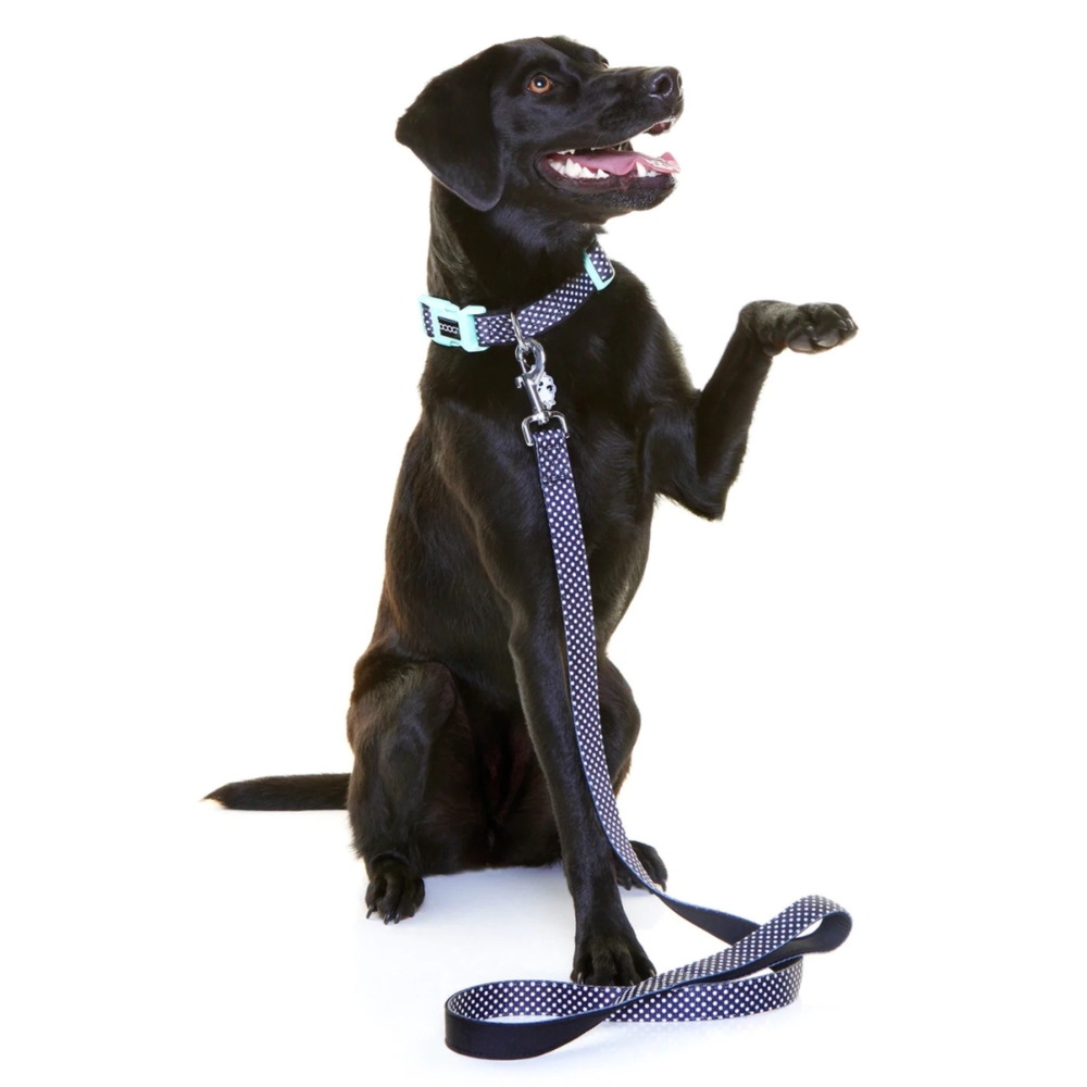 DOOG Neoprene Dog Collar Pongo XS, S, M, L image