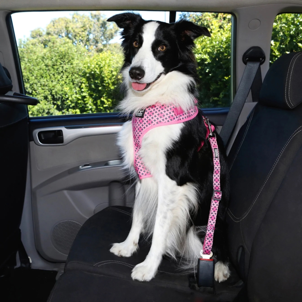 DOOG Car Restraint Scooby image