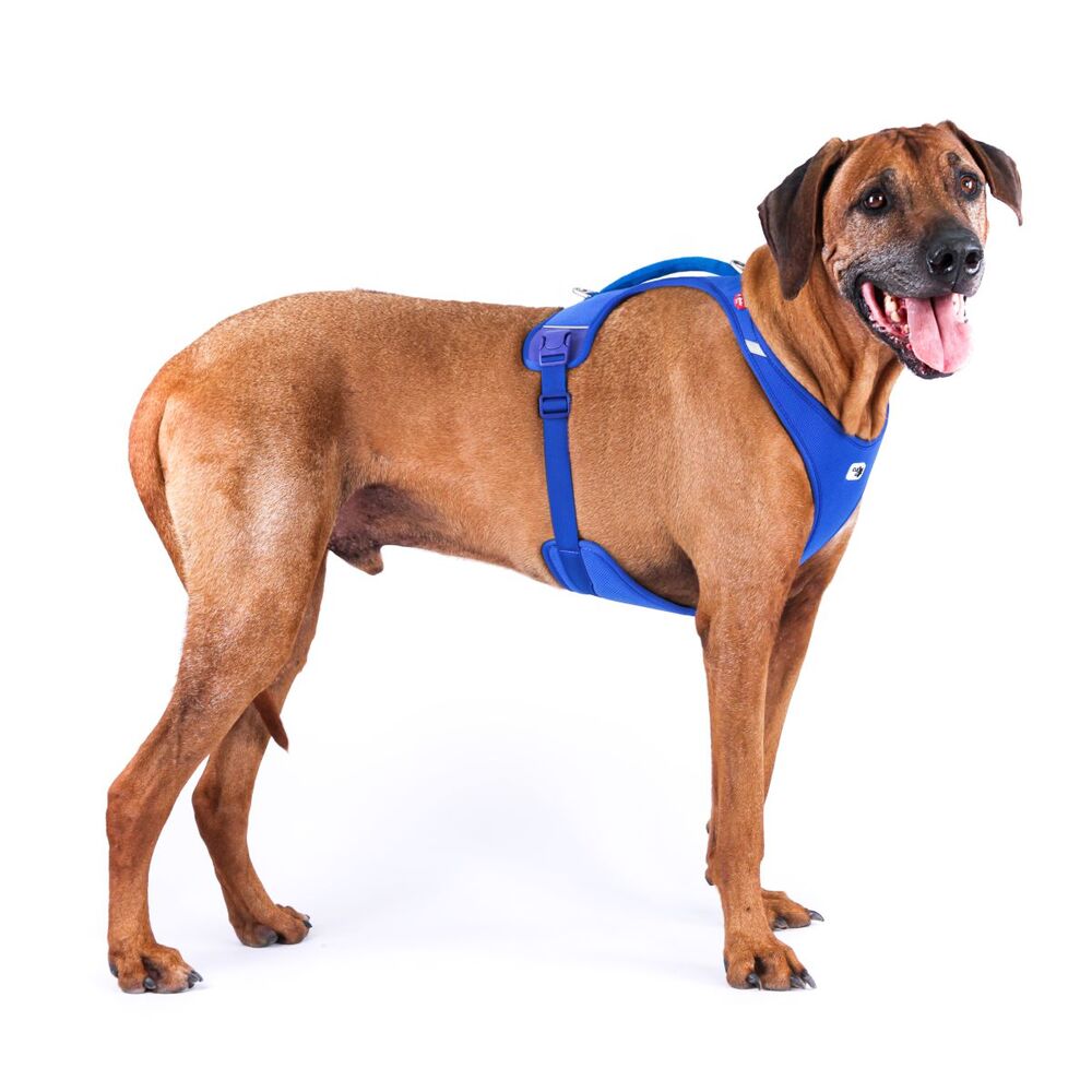 Curli Belka Air Mesh Dog Harness Blue XL - 4XL image