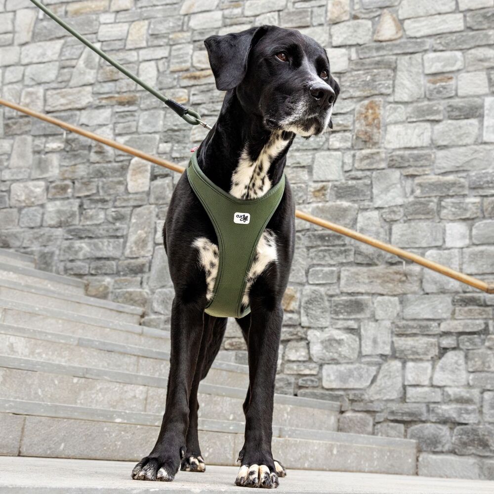 Curli Belka Air Mesh Dog Harness Moss XL - 4XL image