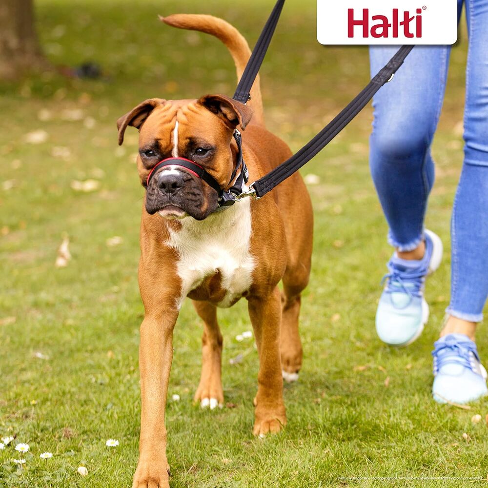 Company of Animals Halti Optifit Dog Headcollar (Small) image