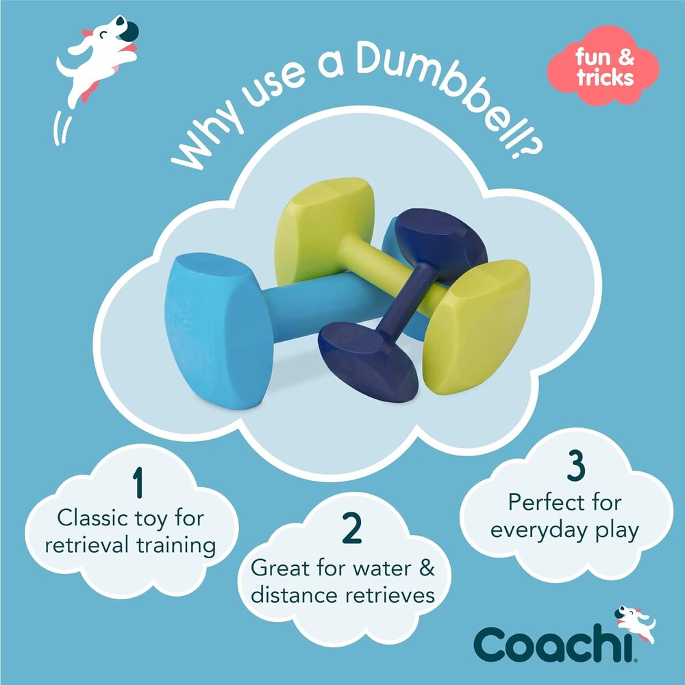 Coachi Training Dumbbell Light Blue Large Dog Toy image