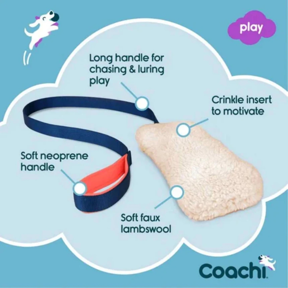 Coachi Chase and Crinkle Training Dog Toy image