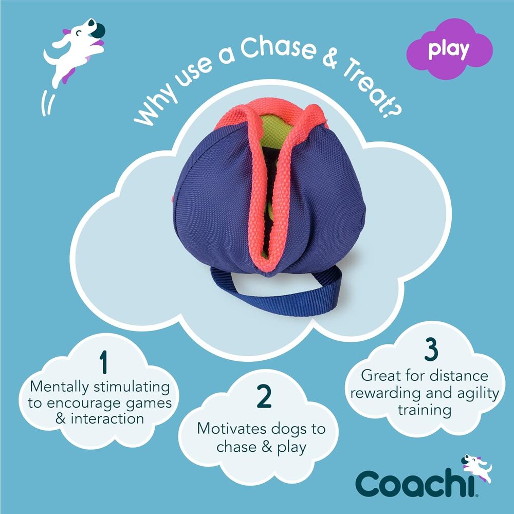 Coachi Chase & Treat Dog Toy image
