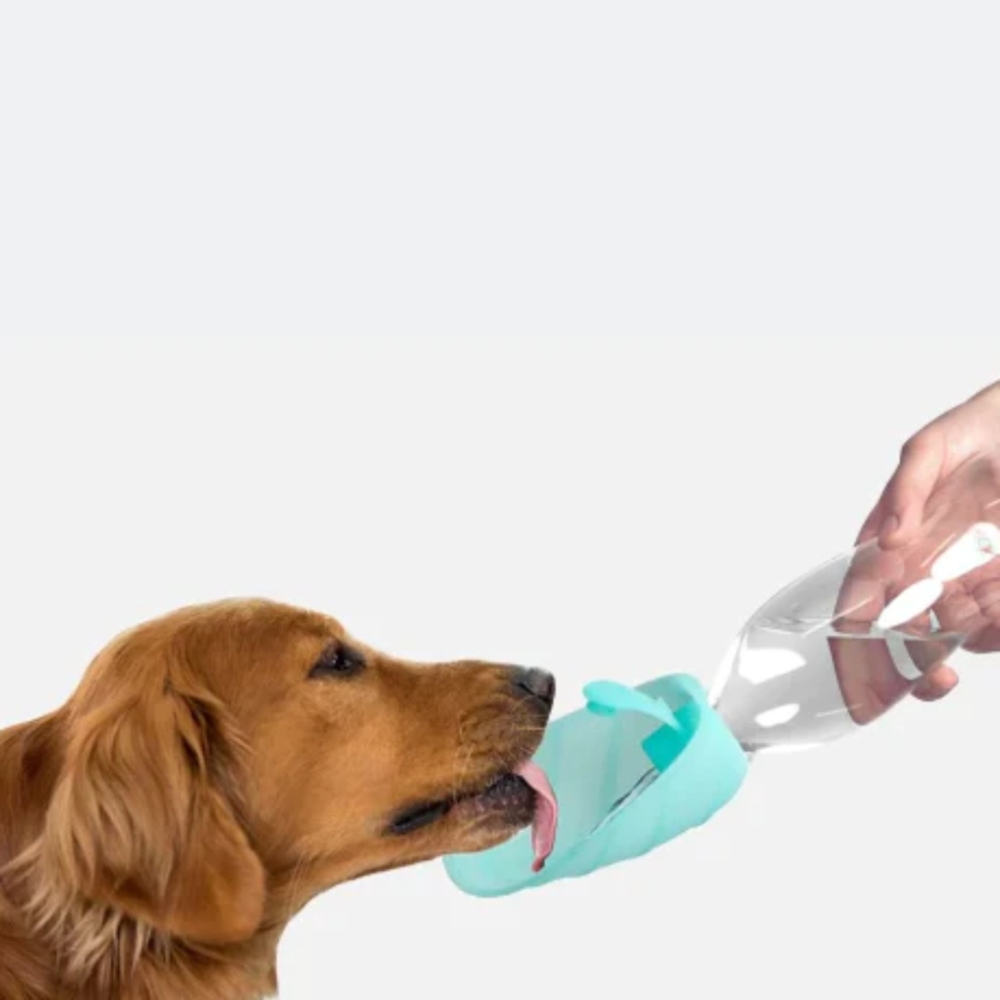 United Pets Leaf Portable Water Dispenser Bottle Pink image